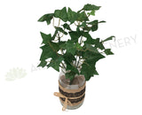 SP0203 Ivy Bunch 30cm Green