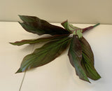SP0204 Faux Red Cast Iron Plant Aspidistra 60cm | ARTISTIC GREENERY Artificial Plants Specialist