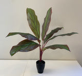 SP0204 Faux Red Cast Iron Plant Aspidistra 60cm | ARTISTIC GREENERY Artificial Plants Specialist