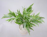 SP0224 Rocket Leaves Bunch 35cm Green