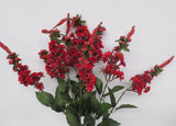 SP0237 Astilbe Bunch 57cm Red (CLEARANCE STOCK)