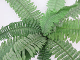 SP0240 Boston Fern 50cm Green