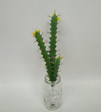 SP0247 Euphorbia / Artificial Succulents 34cm