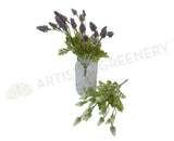 SP0249 Small Muscari (Grape Hyacinth) Bunch 30cm Purple / White