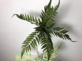 SP0271 Dark Green Fern Bunch