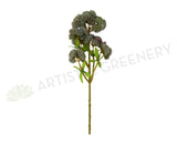 SP0278 Grey Sedum 38cm