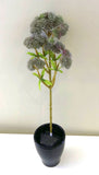 SP0278 Grey Sedum 38cm