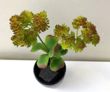 SP0279 Green Sedum with Leaves 23cm