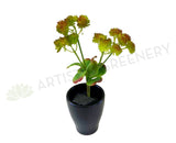 SP0279 Green Sedum with Leaves 23cm