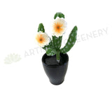 SP0281 Finger Cactus with Flowers 20cm