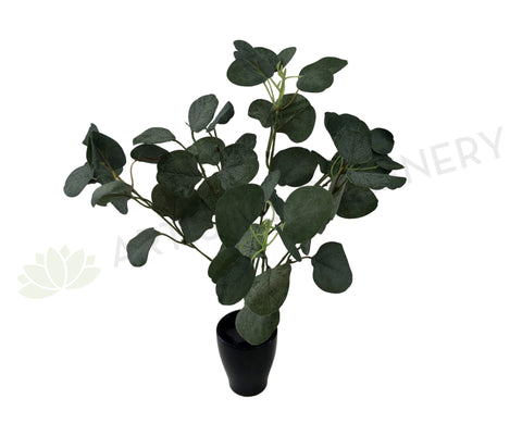 SP0283 Silver Dollar Eucalyptus Bunch 33cm