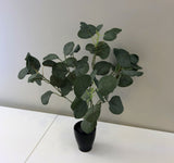 SP0283 Silver Dollar Eucalyptus Bunch 33cm