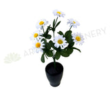 SP0291 Small Daisy Bunch 30cm White