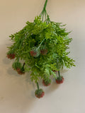 SP0299 Seedded Dusty Miller Bush 36cm 3 Styles