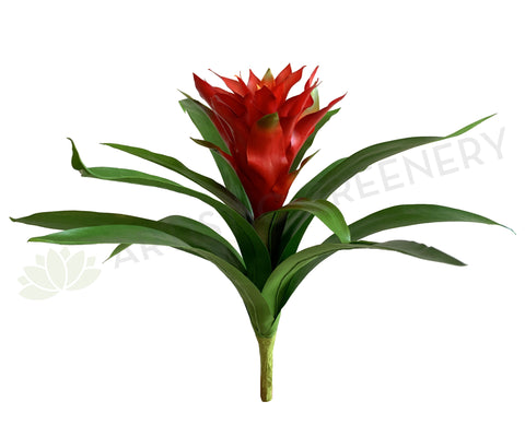 SP0311 Small Bromeliad Plant 50cm