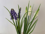 SP0320 Muscari 29cm Purple & White