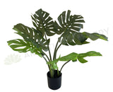 SP0351 Artificial Monstera / Swiss Cheese Plant Potted 65cm | ARTISTIC GREENERY