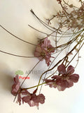 SP0361 Faux Dried-Look Flower - Cosmos 58cm 5 Colours | ARTISTIC GREENERY