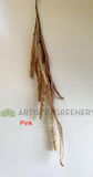 SP0364 Faux Dried-Look Flower - Foxtail 59cm 3 Colours | ARTISTIC GREENERY