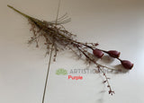 SP0366 Faux Dried-Look Flower - Flower Pods 60cm 4 Colours | ARTISTIC GREENERY