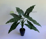 SP0384 Faux Caladium Plant 47cm | ARTISTIC GREENERY