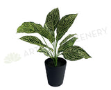 SP0393 Faux Peperomia Plant 42cmm | ARTISTIC GREENERY