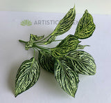 SP0393 Faux Peperomia Plant 42cmm | ARTISTIC GREENERY