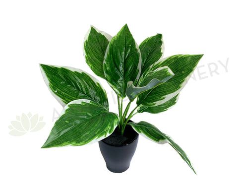 SP0394 Imitation Cast Iron Plant 32cm | ARTISTIC GREENERY