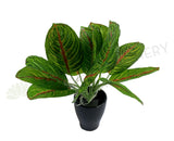 SP0398 Artificial Taro Plant (Red Veins) 24cm | ARTISTIC GREENERY