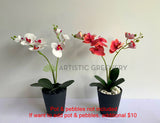 SP0400 Artificial Phalaenopsis Orchid with Leaves 54cm White / Pink | ARTISTIC GREENERY