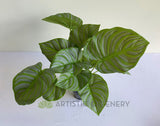 SP0401 Artificial Calathea Peacock Plant 32cm | ARTISTIC GREENERY