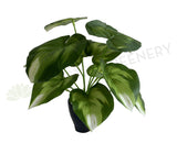 SP0402 Fuax Golden Pothos Plant 32cm | ARTISTIC GREENERY