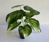 SP0402 Fuax Golden Pothos Plant 32cm | ARTISTIC GREENERY