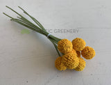 SP0406 Craspedia / Billy Button 24cm Yellow | ARTISTIC GREENERY - Artificial Flowers Supplier Perth WA