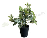 SP0407 Faux Polka Dot Plant 43cm | ARTISTIC GREENERY