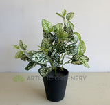 SP0407 Faux Polka Dot Plant 43cm | ARTISTIC GREENERY