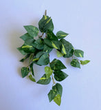 SP0423 Golden Pothos / Devil's Ivy Bunch 41cm | ARTISTIC GREENERY