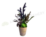 SP0425 Artificial Potted Succulent & Greenery 54cm (SPECIAL) | ARTISTIC GREENERY Indoor Imitation Plants Australia