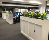 SAGE WA - Office Silk Dieff Plants for Tambour Units