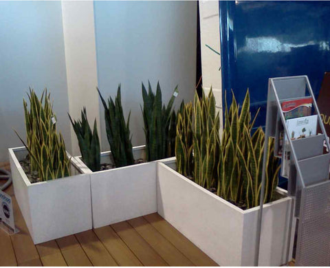 Spa Expo Claremont Showground - Display Sponsorship
