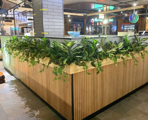 Sushi Sushi (Midland) - Mixture of Greenery for Built-in Planters | ARTISTIC GREENERY