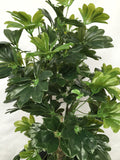 T0014 Schefflera / Dwarf Umbrella Tree 100cm Real Touch