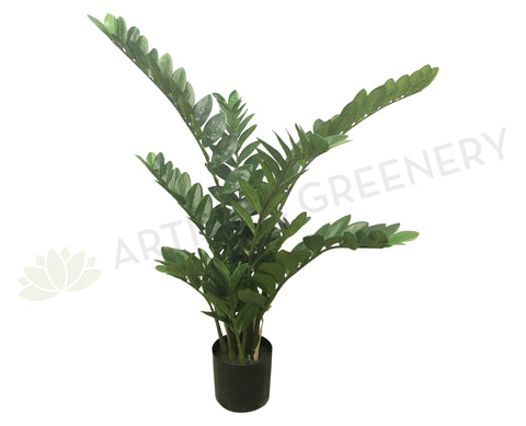 Large ZZ Plant $199