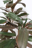 T0069 Cordyline Rumba Real Touch Leaves 130cm Artistic Greenery
