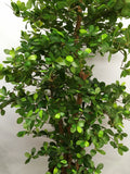 T0114 Schefflera (Bonsai Style) Real Wood Trunk & Real Touch Leaves 165cm