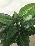 T00149 Taro Plant / Colocasia Esculenta 75cm Real Touch Leaves