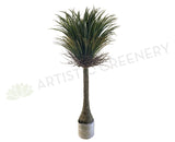 T0151 Dragon Palm (Dracaena Draco) 150cm | ARTISTIC GREENERY