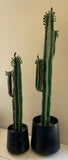 T0153 Prickly Finger Cactus 3 Sizes 180 / 140 / 100cm