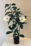 T0158 Artificial Magnolia Plant 105cm tall (50cm wide) | ARTISTIC GREENERY