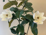 T0158 Artificial Magnolia Plant 105cm tall (50cm wide) | ARTISTIC GREENERY